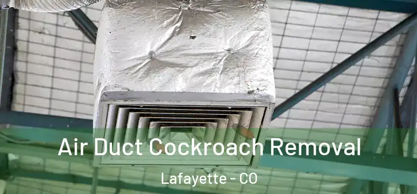 Air Duct Cockroach Removal Lafayette - CO