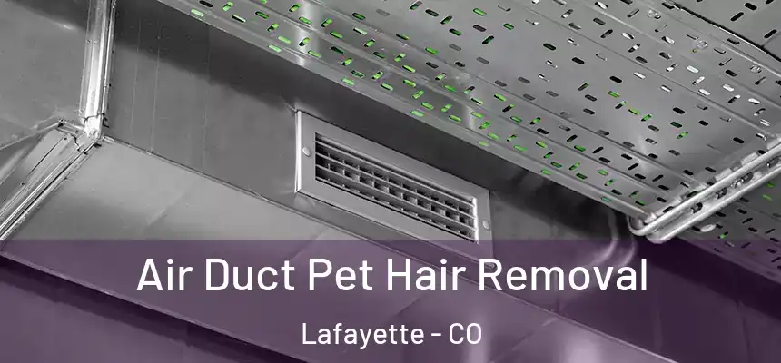  Air Duct Pet Hair Removal Lafayette - CO