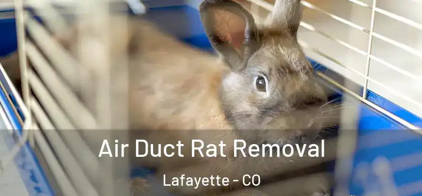  Air Duct Rat Removal Lafayette - CO