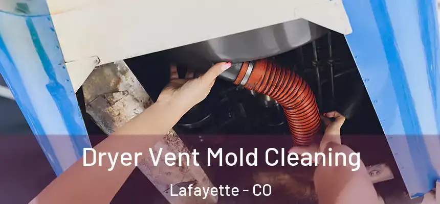  Dryer Vent Mold Cleaning Lafayette - CO