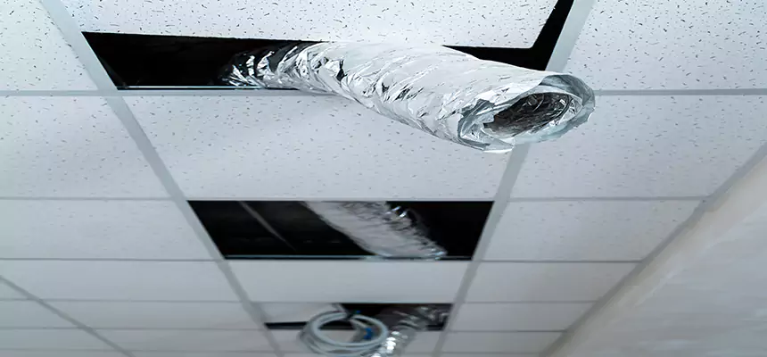 Affordable HVAC Sanitizing After Pest Removal in Lafayette