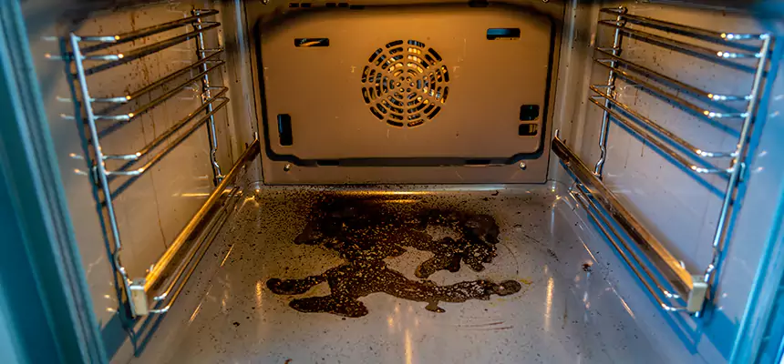 Our Dryer Vent Mold Cleaning Services in Lafayette, CO