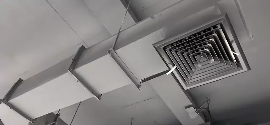 Our Pest Removal From Ducts Services in Lafayette, CO