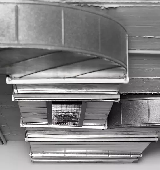 Professional Air Duct Pest Removal in Lafayette, CO