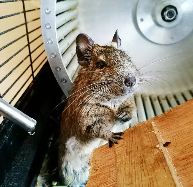 Why Homeowners & Businesses Trust Us Lafayette, CO